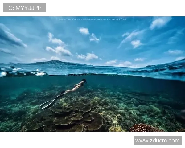 极限运动战术创新探索上海极限运动队的战术转换与实践分析